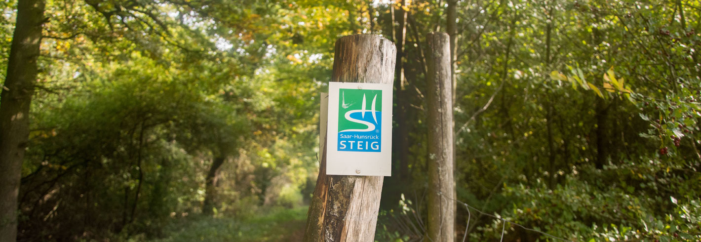 Saar-Hunsrück-Steig bei Bärenbach
